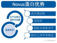 Novus蛋白