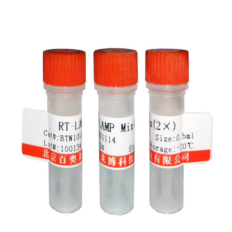 RFT101型高保真平末端pfu DNA聚合酶北京价格