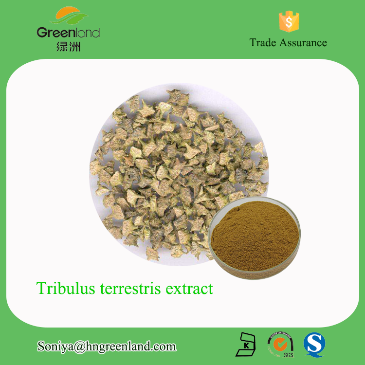 天然刺蒺藜提取物 刺蒺藜皂甙 湖南绿洲植物生产厂家供应直销