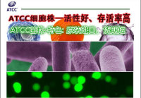 BL21-CodonPlus-RIL感受态细胞
