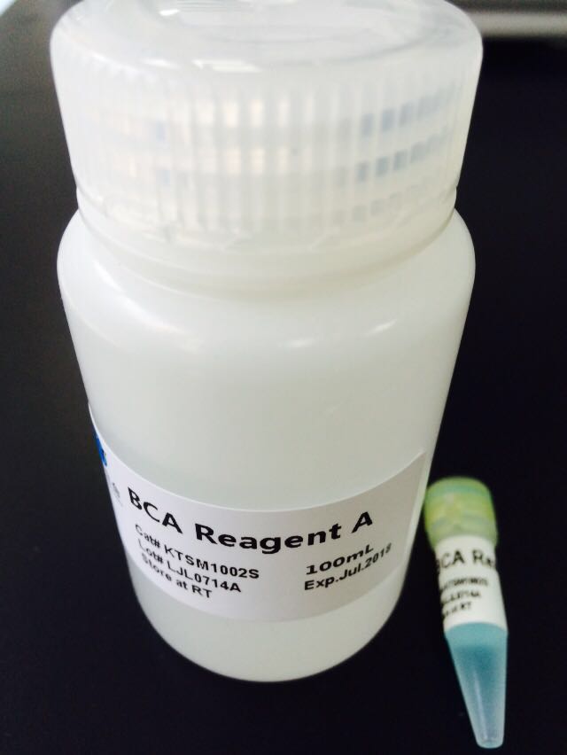 Protein Quantitative Reagent Kit-BCA 