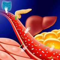 病毒在代谢研究中的应用