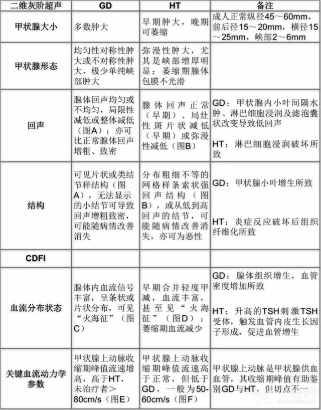 桥本甲状腺炎超声体现 一文把握 Graves 病与桥本甲状腺炎超声辨别关键