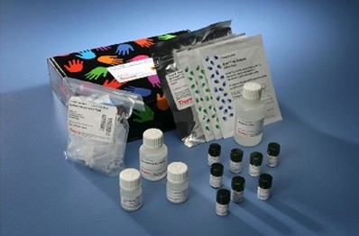 核酮糖1,5-二磷酸羧化酶(Rubisco)检测试剂盒(RuBP比色法)