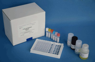 大鼠5羟色胺(5-HT)ELISA检测试剂盒
