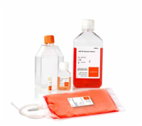 Corning NK细胞活化扩增培养基套装 