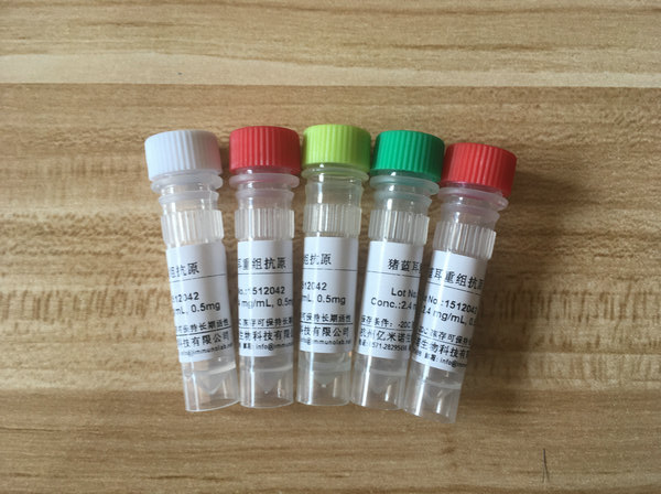 布氏杆菌LPS抗原 天然抗原 进口 Brucella LPS