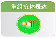 重轻链共表达设计 pAZ-V5 系列载体多信号肽选择