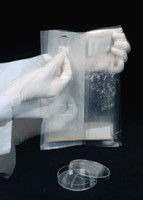 PX0020均质袋/采样袋/ELMEX