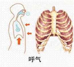 呼吸机相关性肺炎界说 从概念到原理：学习呼吸机从这篇文章开端