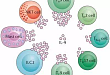 白细胞介素-9（IL-9）