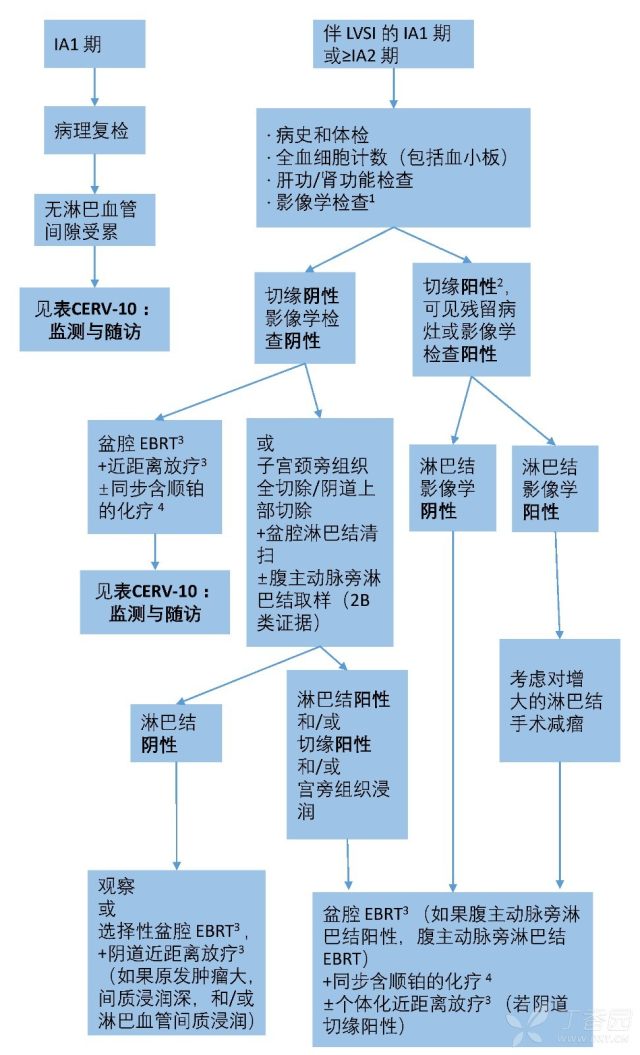 宫颈癌临床分期图片