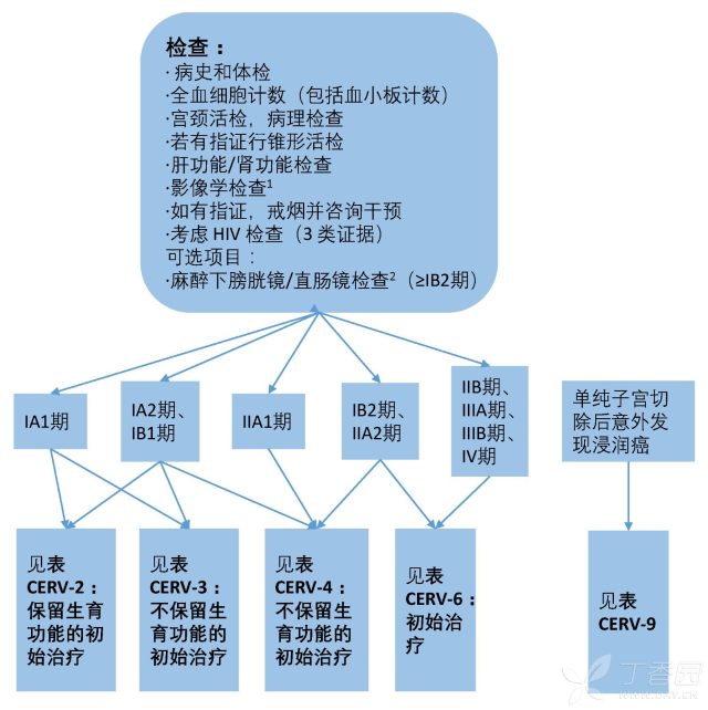 宫颈癌分期2020图片