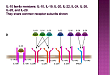 白细胞介素-28（IL-28）