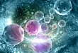 FDA 授予 Cellect 旗下 GvHD 药物 ApoGraft 孤儿药资格