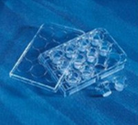 细胞迁移/Transwell