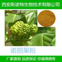 诺丽果粉