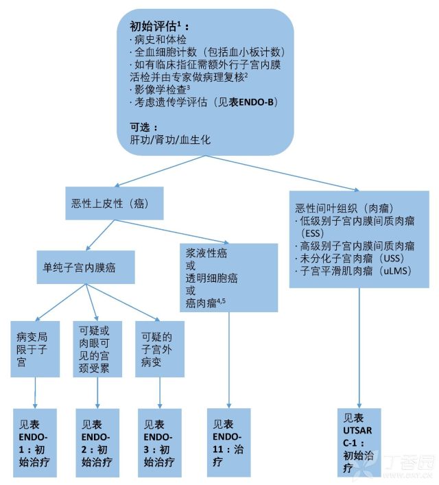 NCCN子宫内膜癌2017V3-1.jpg