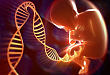Sarepta 着手提交第二款 DMD 药物 golodirsen 的上市申请
