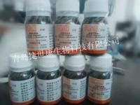 sp2/0细胞;小鼠骨髓瘤细胞