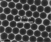 单分散氨基聚苯乙烯微球/正电荷聚苯乙烯微球/纳米微米级