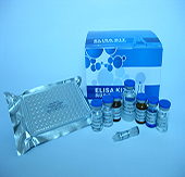 大鼠内皮抑素(ES)ELISA 试剂盒