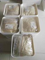 BSA7/牛血清白蛋白