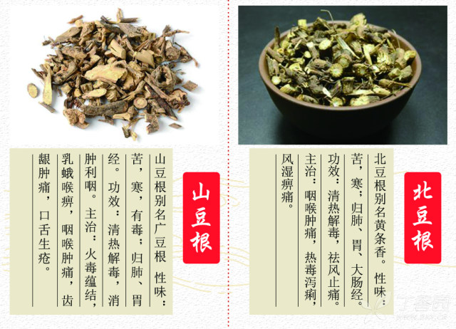 中医(专长)医师资格证书,每日学一味中药--山豆根