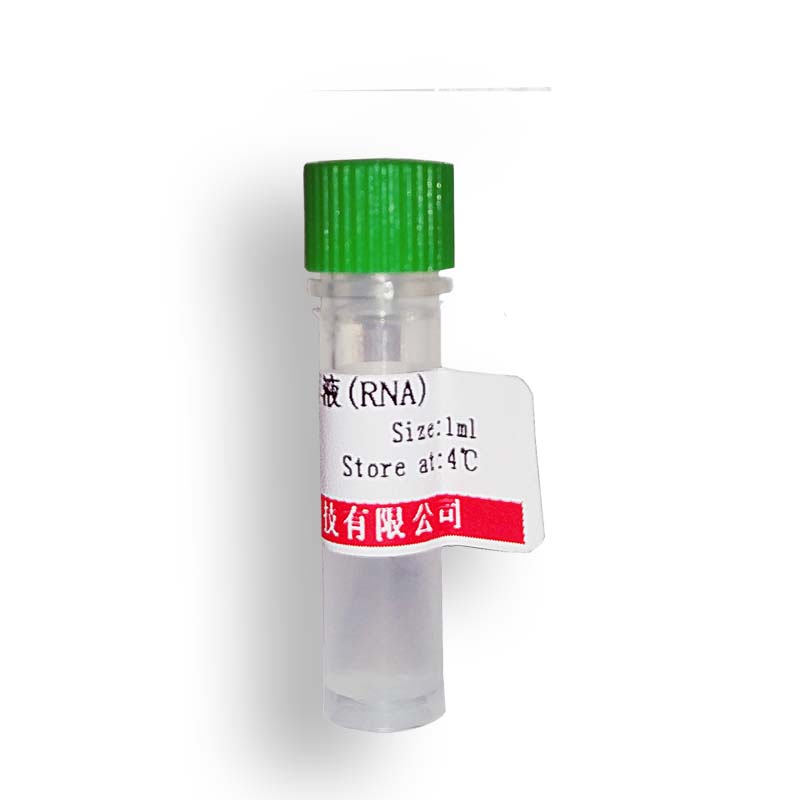 北京10×多聚賴氨酸溶液(免疫組化)現貨