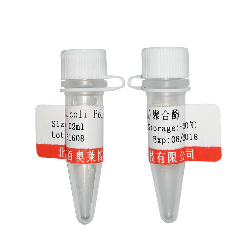 北京WE0201型血清血浆尿液游离RNA提取试剂大量库存促销