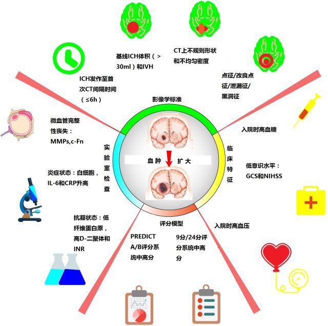 脑出血血肿扩大 如何早期识别血肿扩大的高危患者？这四类预测指标需掌握