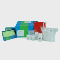临床样本DNA抽提纯化试剂盒（Exgene Clinic SV）