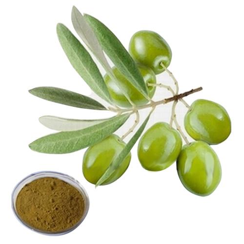橄榄叶提取物橄榄苦甙羟基络醇20%40%50%