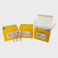 PCR模板DNA抽提纯化试剂盒(DirEx)