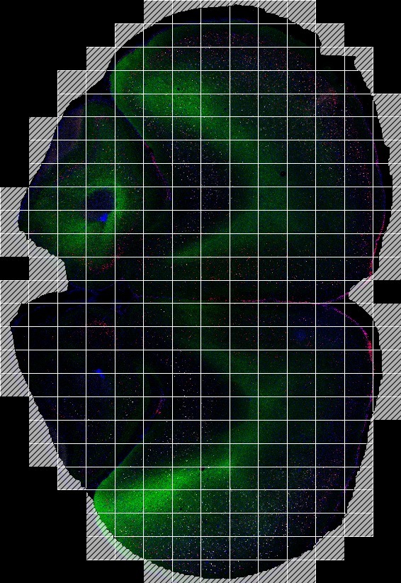 image3.png