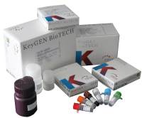 24片染色架(带染色缸，耐高温 塑料)