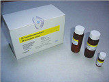 胆固醇检测试剂盒