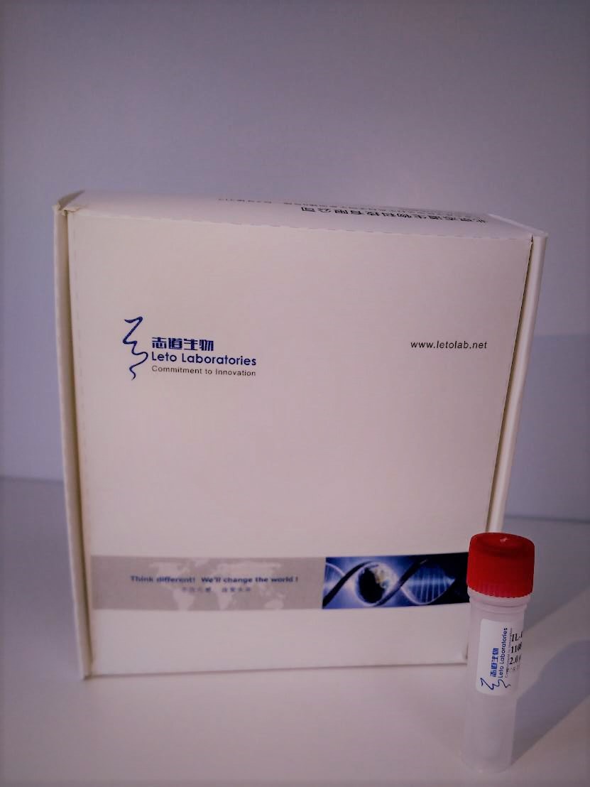 重组人白血病抑制因子（LIF）