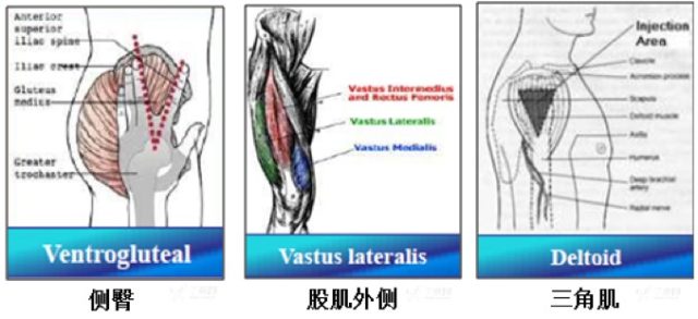 图片 3.png