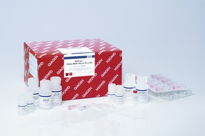 小鼠尿微量白蛋白(ALB)酶联免疫elisa分析试剂盒操作步骤