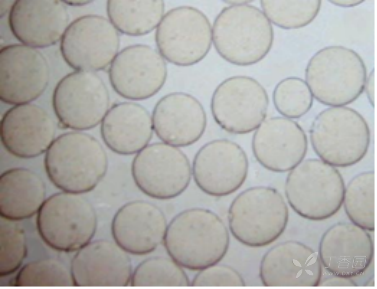 微胶囊包埋技术在食品中的应用