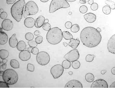 微胶囊包埋技术在食品中的应用