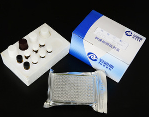 MCP1试剂盒