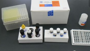 IL4试剂盒
