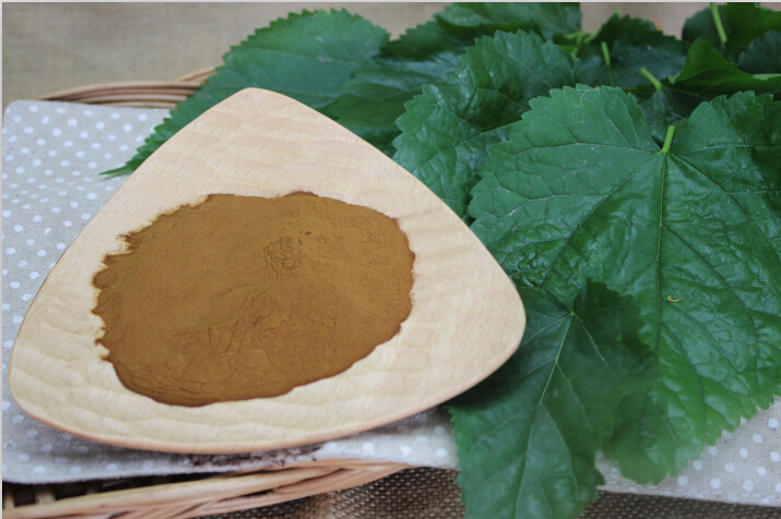 桑叶提取物 桑叶DNJ 1-DNJ