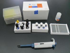 小鼠Toll样受体9(TLR-9/CD289)elisa定量检测试剂盒图片