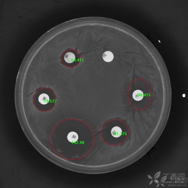 抑菌圈的原理_2.2.6最佳浸提时间   从图6得出,0-2 h,抑菌圈直径下降,开始溶解不够充分,抑菌圈直