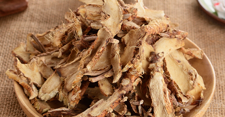 中医(专长)医师资格证书,每日学一味中药--知母