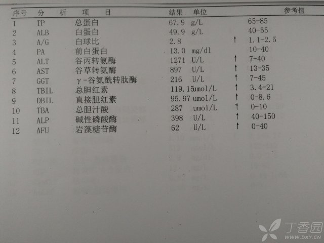 3238704109852388534-8w.jpg!w640