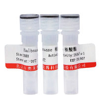 Real-Time PCR稀释液哪里卖